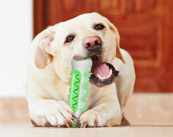 Leaking food teeth stick Model: YRS-0008 - Image 8