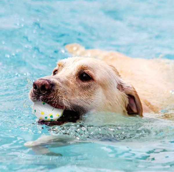 Foam dog toy ball Model: YRS-0231-M - Image 9