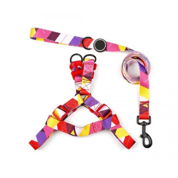 Harness with leash - Model YRS149