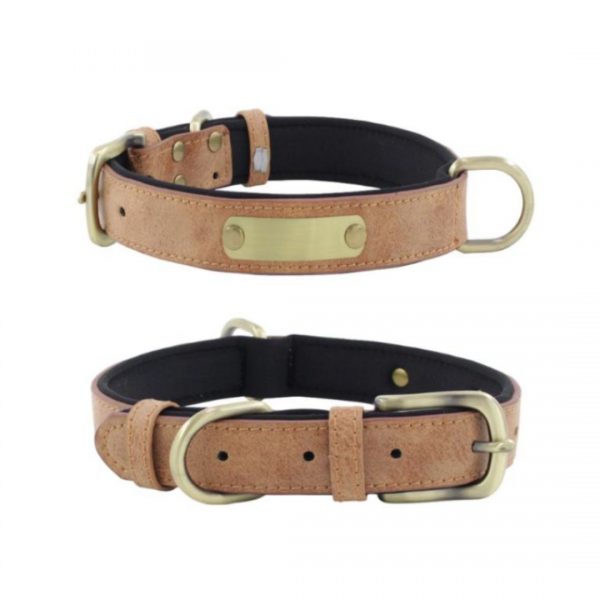 Pet Collars - Model YRSD250