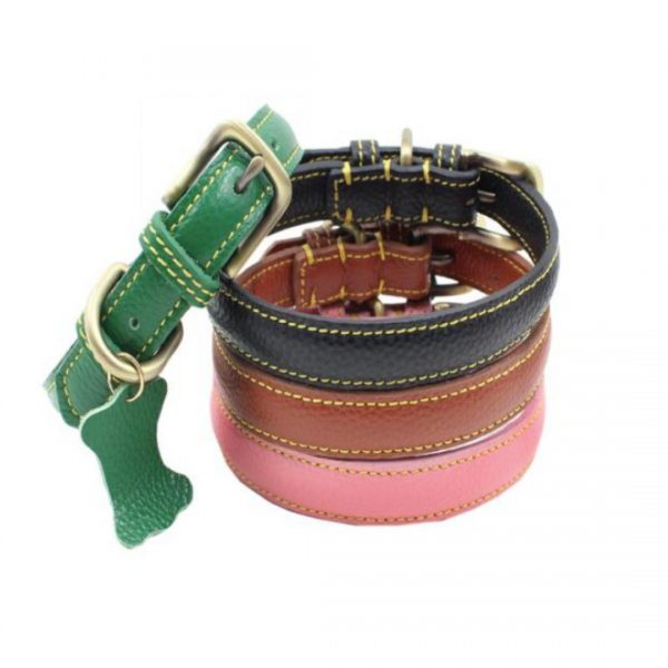 Pet Collars - Model YRSD256