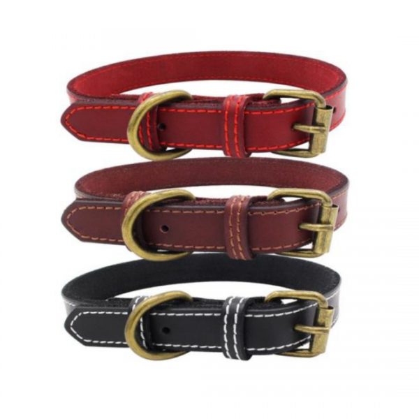 Pet Collars - Model YSLD004