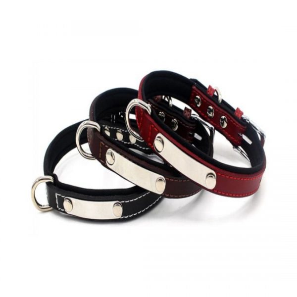 Pet Collars - Model YSLD029