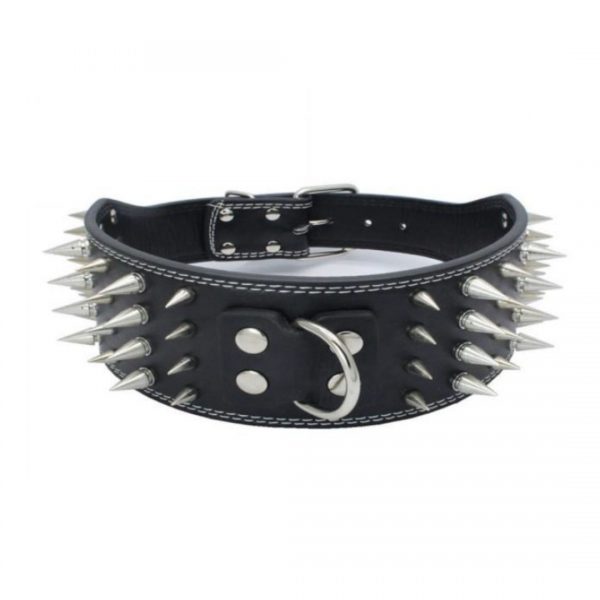 Pet Collars - Model YSLD097