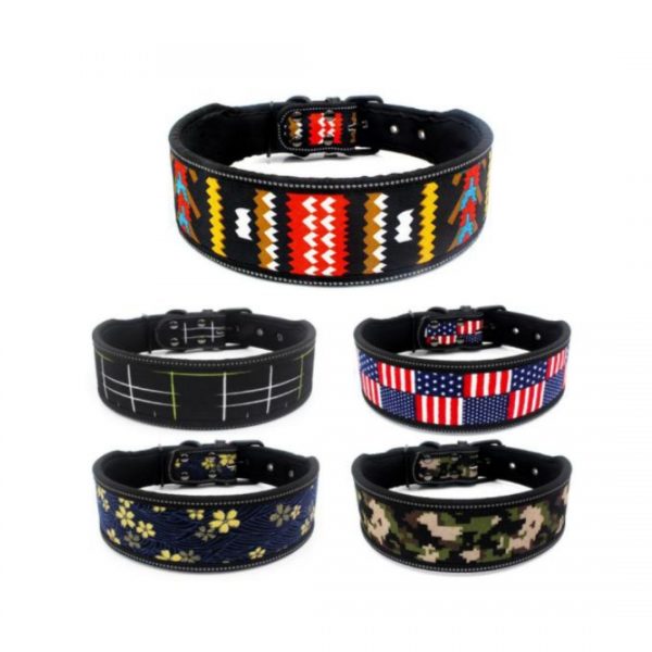 Pet Collars - Model YSLD202